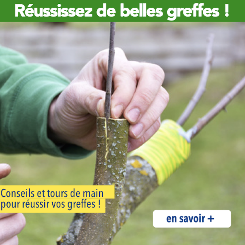 Trucs Et Astuces Pour Mon Jardin Equipement Maison Am Nagement