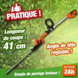 outiror-Taille-Haies-sur-perche-20V-201203200001.jpg