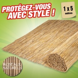 outiror-Canisse-tiges-roseaux-naturels-157403200026.jpg
