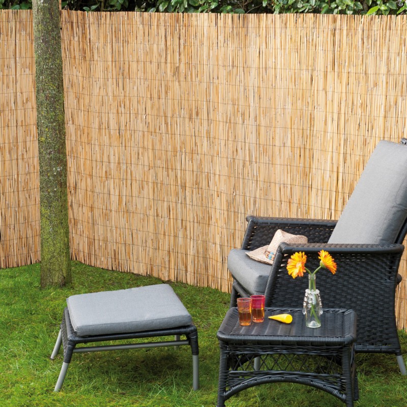 Canisse brise-vue en tiges de roseaux naturels - 1 x 5 m