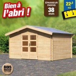 outiror-Abri-jardin-Meldorf5-398x297cm-207603200074.jpg