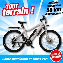 outiror-velo-electrique-MARATHON-moteur-arriere-21650520001.jpg