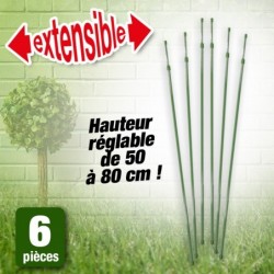 outiror-Lot-6-tuteurs-extensibles-73006200016.jpg