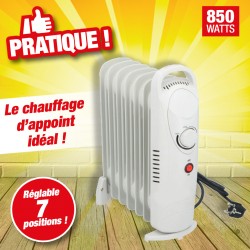 outiror-Alpina-radiateur-850W -74011200003.jpg