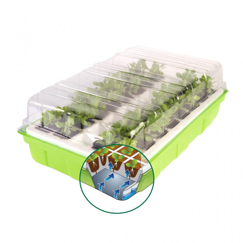 Kit germination 40godets
