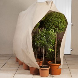 Housse de protection pour plantes beige 120x180cm
