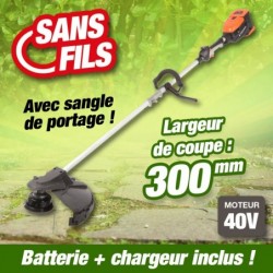 outiror-Coupe-bordure-Batterie-201201210012.jpg