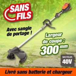 outiror-Coupe-bordure-Batterie-201201210016.jpg