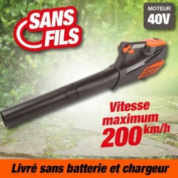 outiror-Souffleur-Axial-batterie-201201210019.jpg