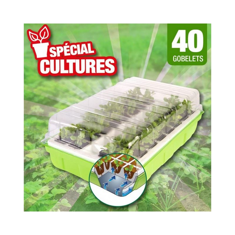 Kit de germination lot de 2, soit 80 godets Catalogue jardin OUTIROR