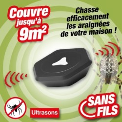 outiror-Repulsif-araignees-115809210001.jpg