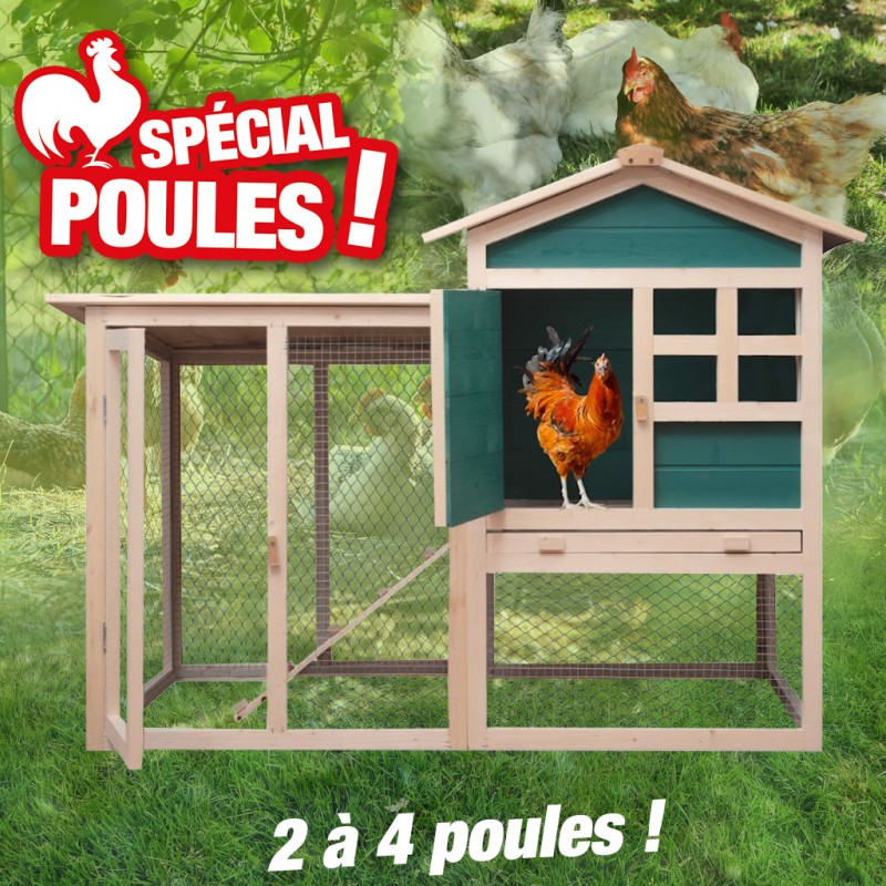 Poulailler - 2 Poules