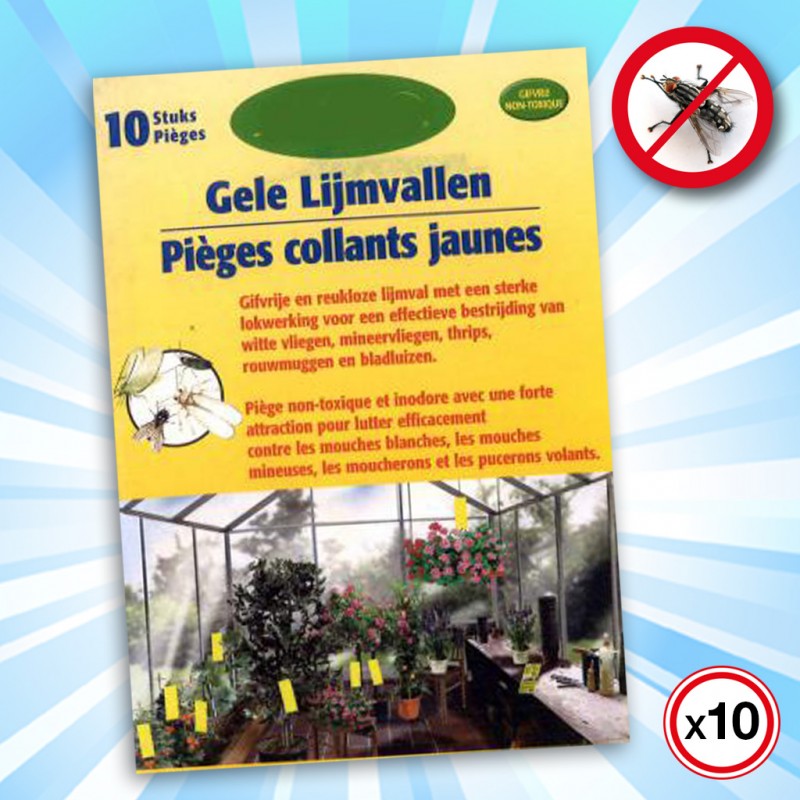 Lot De 16 Pièges Collants Anti moucherons Pour Plantes - Temu Belgium