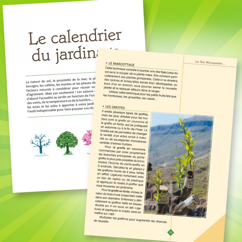 Trucs Et Astuces Pour Mon Jardin Equipement Maison Am Nagement