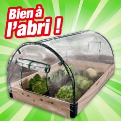 outiror : serre de jardin avec chassis