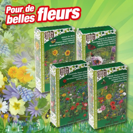outiror - jacheres fleuries mix de graines 4 sortes outiror - jacheres fleuries mix de graines 4 sortes