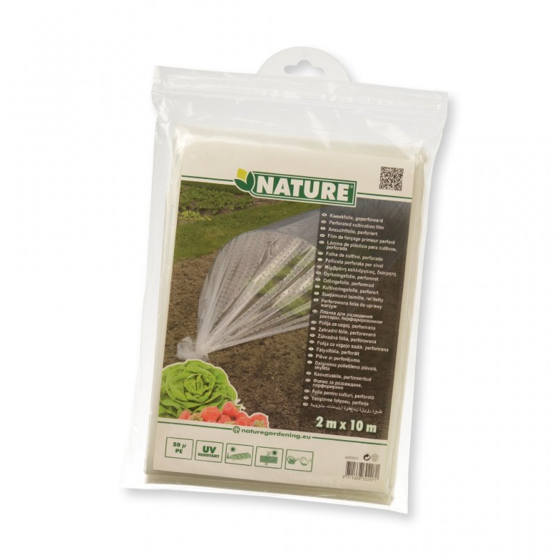 Paillis Perforé Pour Serre - Film Plastique Noir - 0,95 X 10