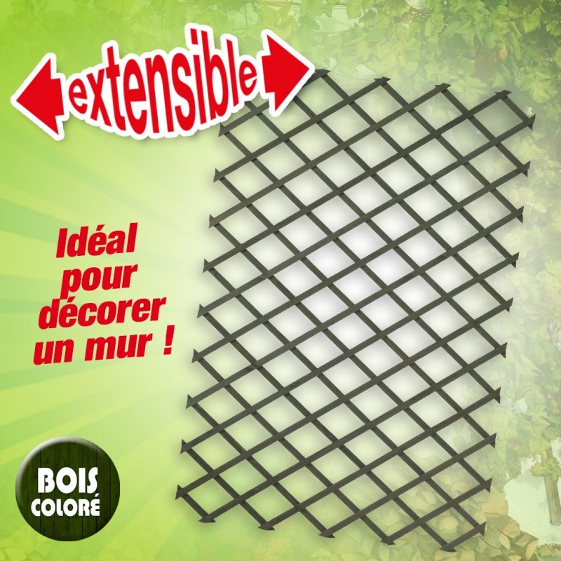outiror-treillis-extensible-en-bois-colore-vert-50x150cm-141301190068