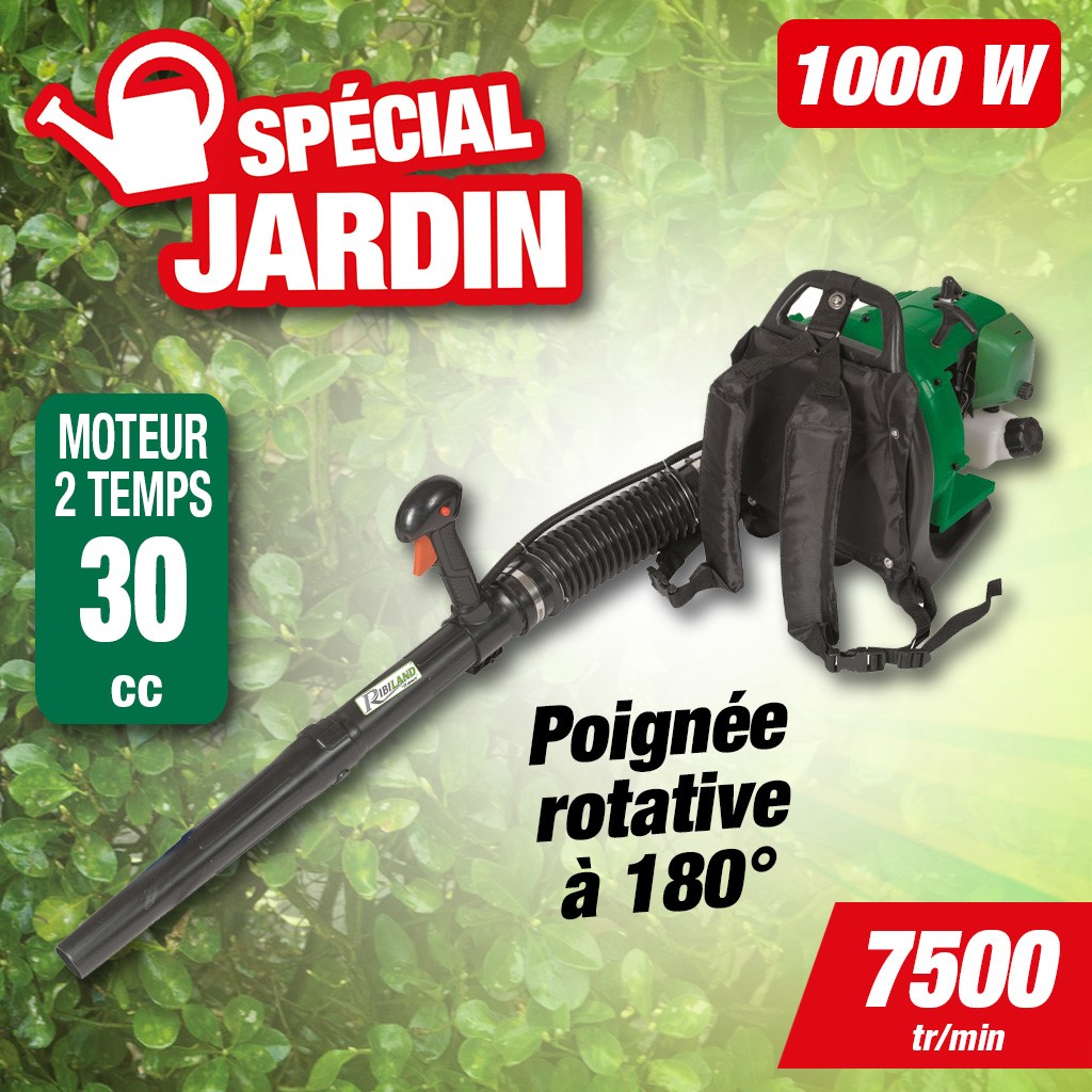 HTTPS: OUTIROR.COM IMG P 1 0 2 0 6 10206.JPG Souffleur thermique &agrave; dos 30cc Ribiland PRASBTD30
