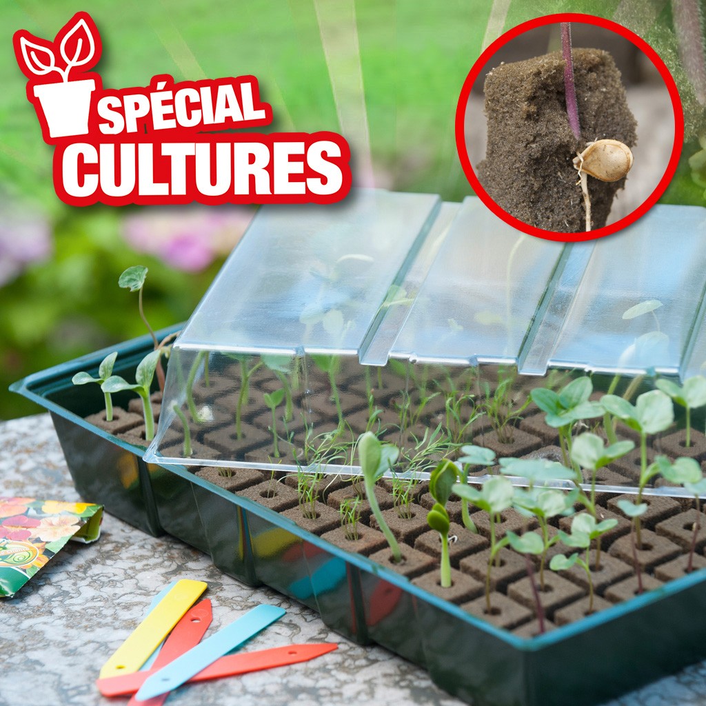 HTTPS: OUTIROR.COM IMG P 5 5 4 9 5549.JPG Mini-serre de culture hydroponique 7 x 11 alv&eacute;oles - Nature