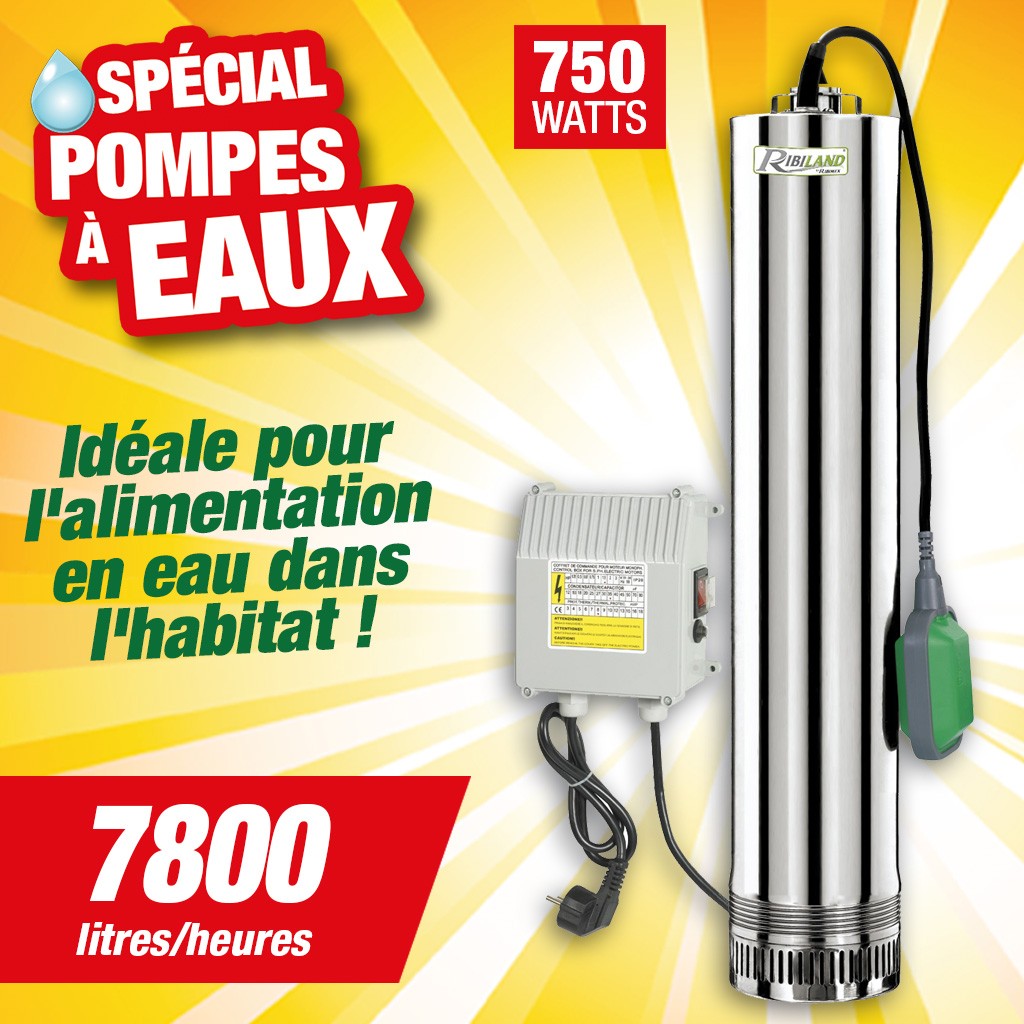 Pompe de puits 750W - Ribiland