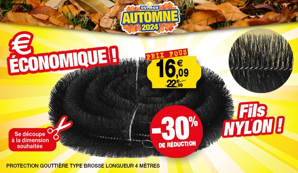 Brosse gouttiere