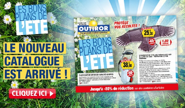 cata bons plans